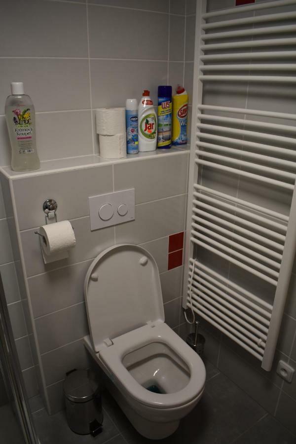 Apartma Fara Loučná nad Desnou Екстериор снимка